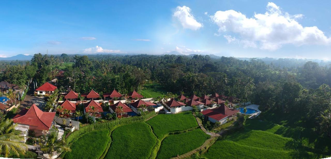 Vrindavan Ubud Villa Tegallalang  Exterior foto